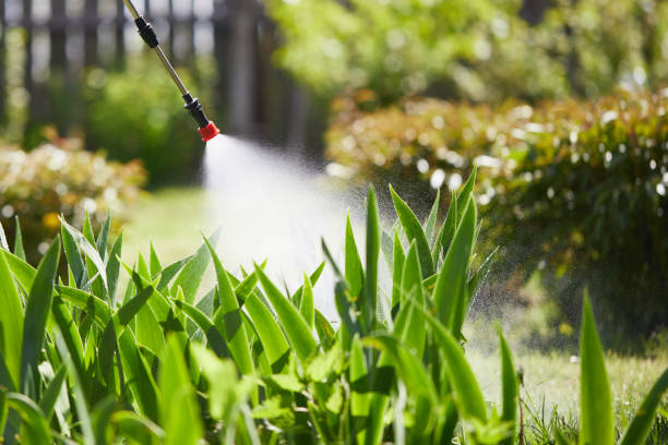 24/7 Emergency Mosquito Control experts in Wapakoneta, OH