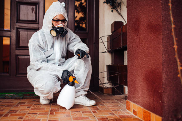 Reliable Mosquito Control contractor in Wapakoneta, OH by Show Me Pest Control