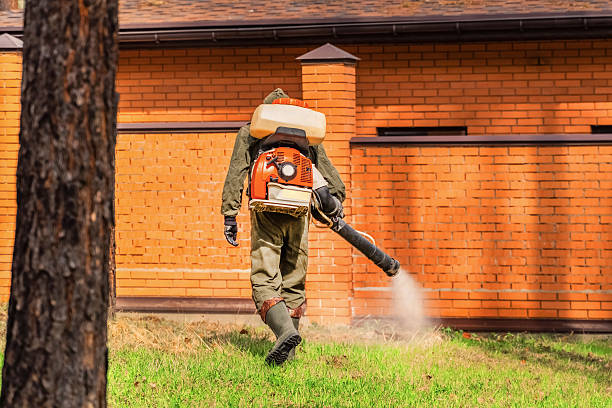 Top rated local Mosquito Control specialists in Wapakoneta, OH
